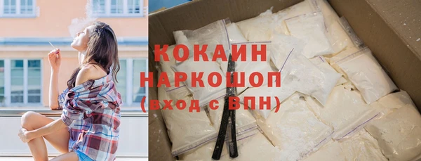 индика Абаза
