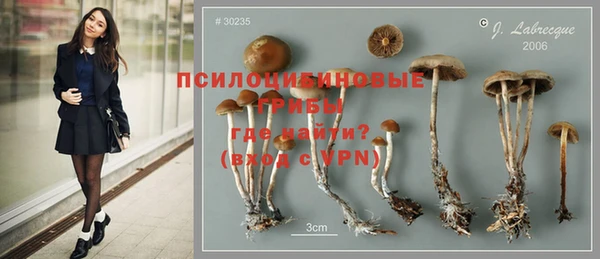 индика Абаза