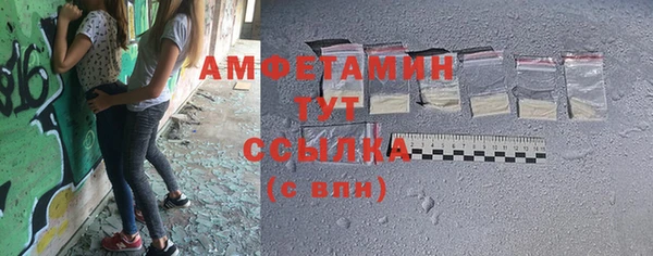 индика Абаза