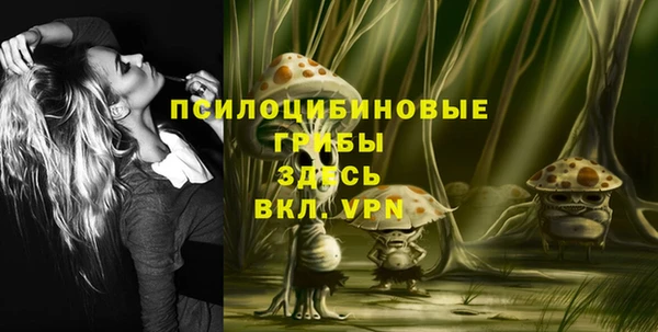 первитин Алексеевка