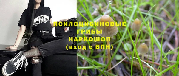 индика Абаза